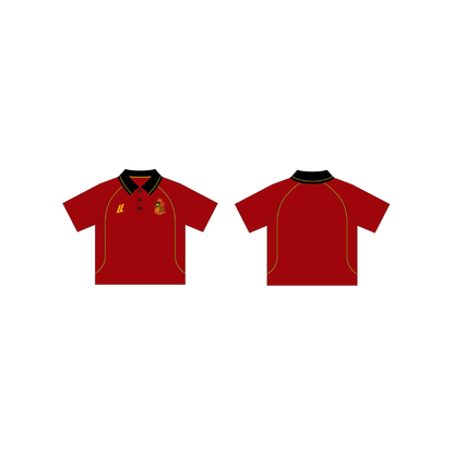 POLO - SPAIN