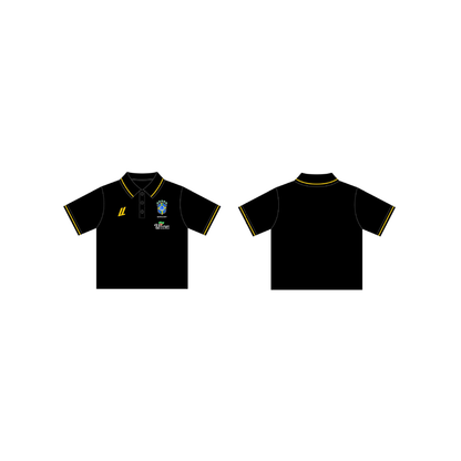 POLO - BRAZIL